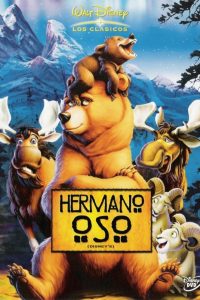 Poster Tierra de Osos