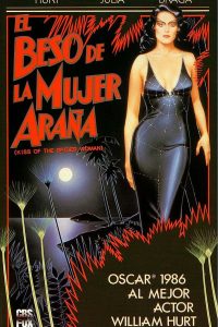 Poster El beso de la mujer araña