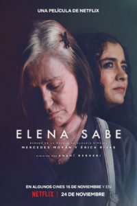 Poster Elena sabe