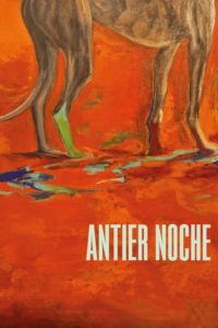 Poster Antier noche