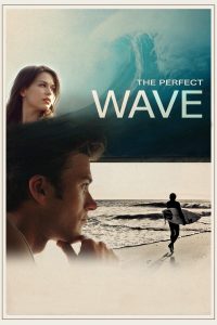 Poster The Perfect Wave