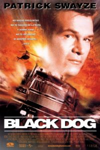 Poster Black Dog