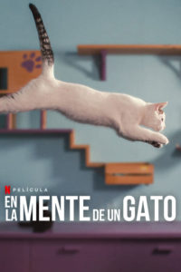 Poster En la mente de un gato