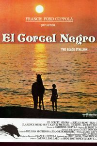 Poster El corcel negro