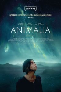 Poster Animalia