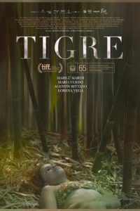 Poster Tigre