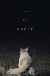 Poster Viene de noche