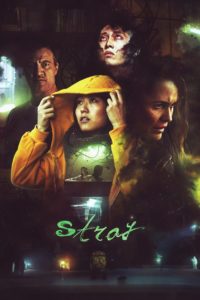 Poster Stray