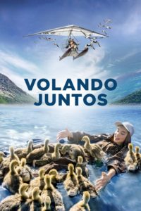 Poster Donne-moi des ailes (Volando juntos)