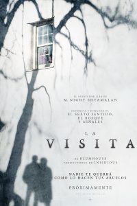 Poster La visita