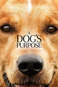 Poster Tu mejor amigo (A Dog's Purpose)