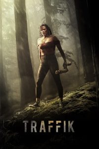 Poster Traffik