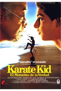 Poster Karate kid, el momento de la verdad