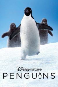 Poster Penguins