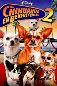 Poster Un chihuahua en Beverly Hills 2