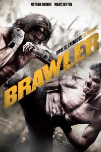 Poster Brawler