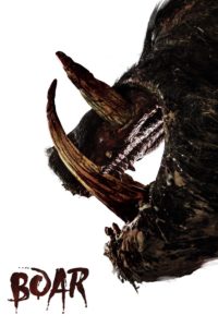 Poster Boar