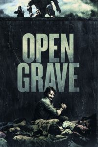 Poster Open Grave