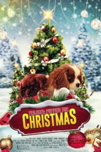 Poster Project: Puppies for Christmas