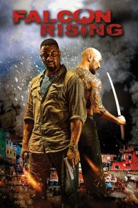 Poster Falcon Rising