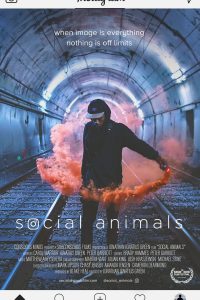 Poster Social Animals