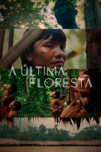 Poster A Última Floresta