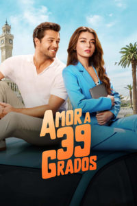 Poster 39 Derecede Aşk