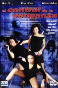 Poster El control de la venganza