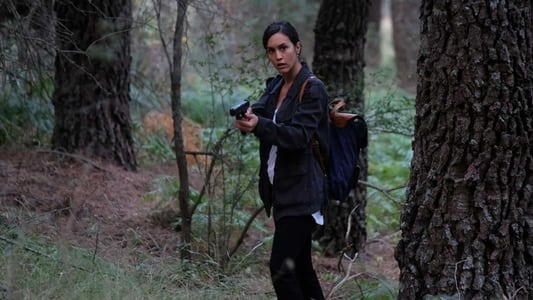 Image La caza. Monteperdido 1