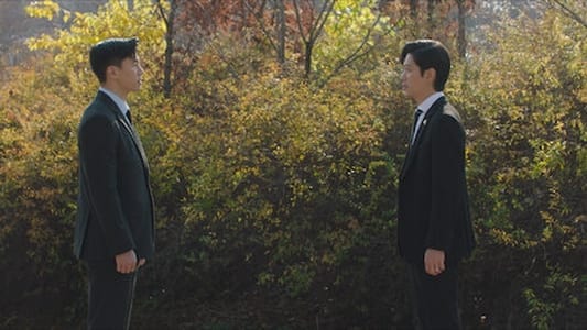 Image El tranvía (Trolley) 14