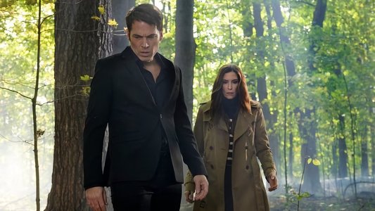 Image SurrealEstate 5