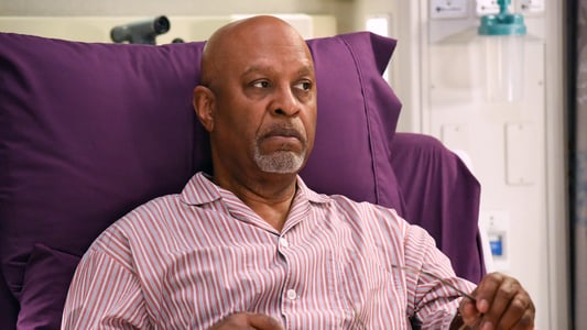 Image Anatomía de Grey (Greys Anatomy) 20