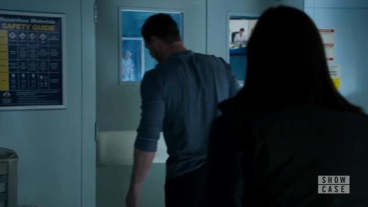 Image La Bella y Bestia (Beauty and the Beast) 13