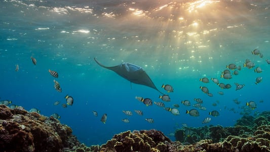 Image Un planeta perfecto 4