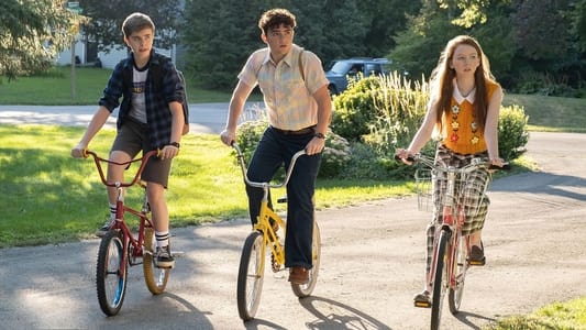 Image The Hardy Boys 8