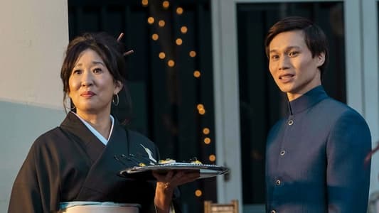 Image El simpatizante 2