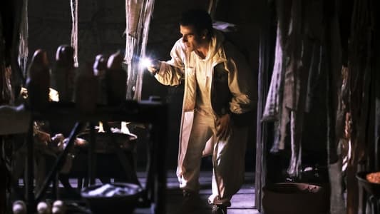 Image Caballero Luna 4