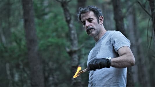 Image Buscando a Frida 49