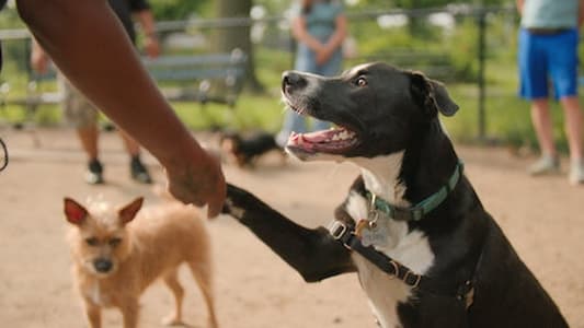 Image El futuro de... (The Future Of) 1