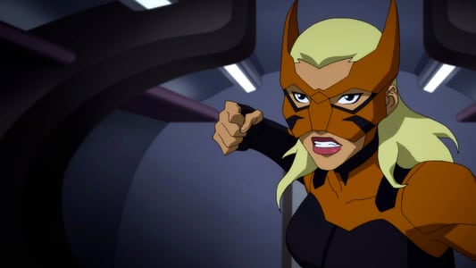 Image La joven Liga de la Justicia 8