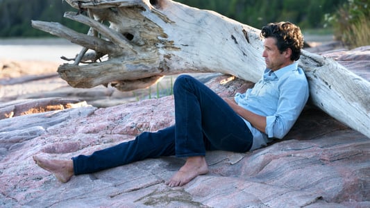 Image La verdad sobre el caso Harry Quebert 3