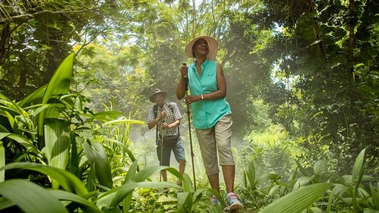 Image Fantasy Island 1