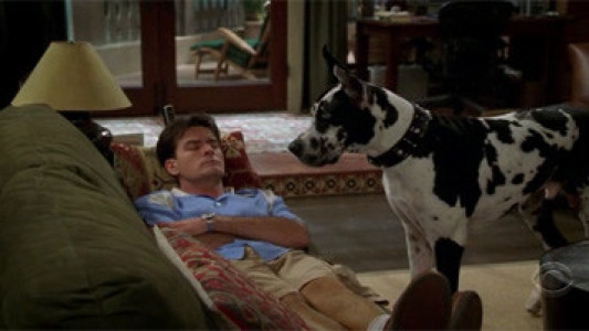 Image Dos hombres y medio 4