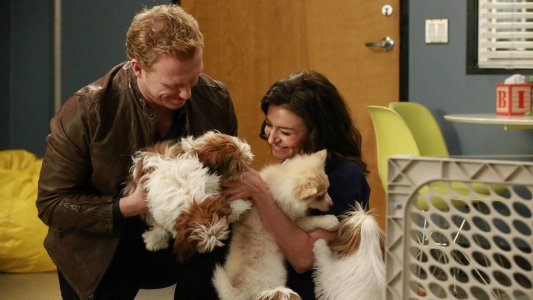 Image Anatomía de Grey (Greys Anatomy) 14