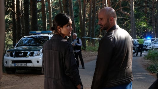 Image La caza. Monteperdido 2