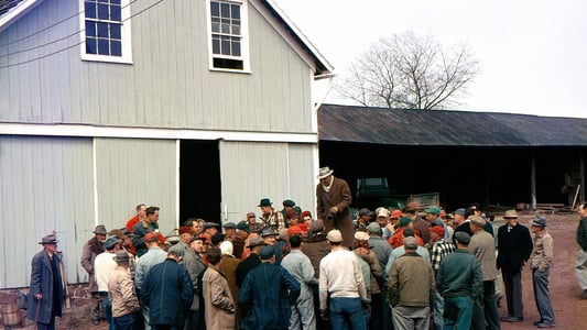 Image The UnXplained 11