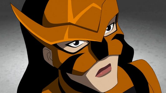 Image La joven Liga de la Justicia 13