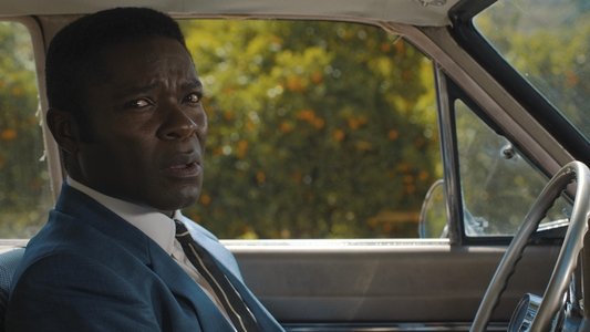 Image Government Cheese 10