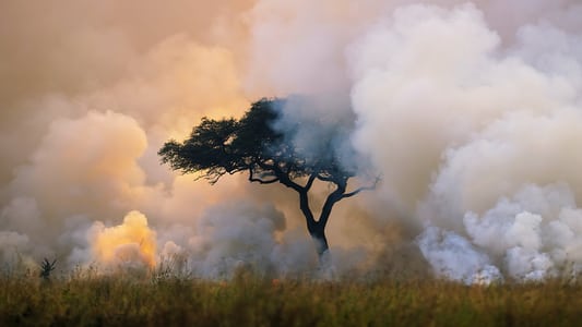 Image Un planeta perfecto 3