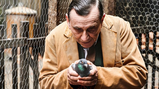 Image Llama a la comadrona 4